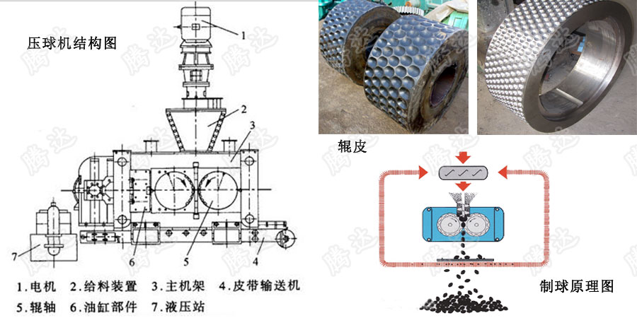 環(huán)保壓球機結(jié)構(gòu)示意圖 環(huán)保壓球機結(jié)構(gòu)示意圖
